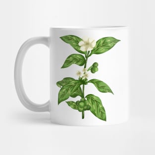 Green Coffe  Botanical Mug